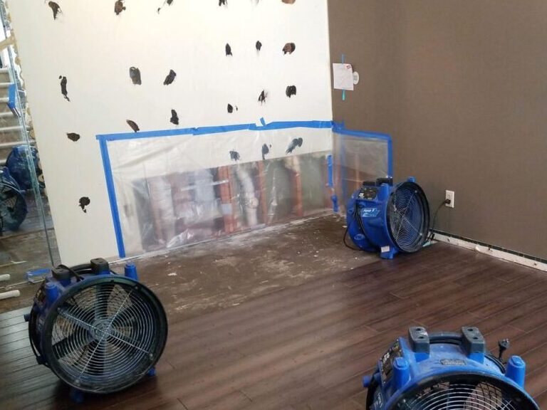 Water Damage Restoration Services